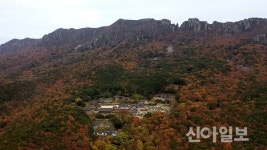 해남 끝자락 가을품은, 달마고도 힐링축제 개최