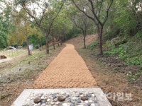충남교육청, 학교 내 일본식 수목 공간 정리 사업 ‘순항’
