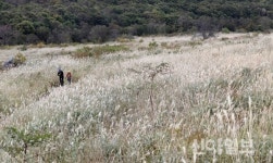 겨울초입 한번쯤은 찾고 싶은 산 ‘영남 알프스 재약산’에 올라보자