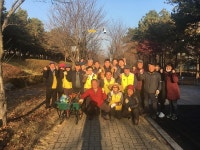 시흥시 정왕4동 빛의 거리 잔가지 치기 기초작업