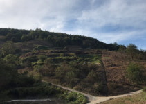 진주시, 2019년 산림자원분야 최우수 지자체 선정