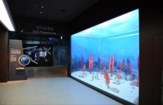 태백고생대자연사박물관, 증강현실 체험 콘텐츠 구축