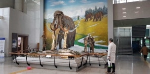 단양수양개선사유물전시관, 코로나19 예방 방역소독 실시