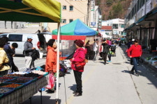 태백시, 통리 5일장 취소