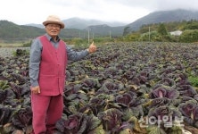 이랜드 킴스클럽, 수출애로 해남 배추농가 돕기 동참