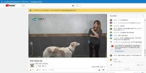 강동구, 반려견 행동전문가 양성과정 온라인 개강