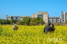 휘닉스호텔, 평창·제주 봄기운 만끽 올인클루시브 패키지