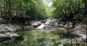 가평 ‘가평천 생태관광하천 조성사업’ 추진