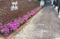 포항, ‘더+ 포항 그린웨이, 도시생기 프로젝트’ 추진