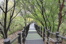 서대문도서관~안산자락길 연결 등산로 개통