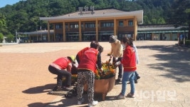 밀양시 가곡동행정복지센터, 싱그러운 여름꽃 9200본 식재