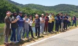 사천강 황화코스모스 꽃길, 색색깔 무늬 옷을 입다