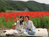 하동 북천 꽃 양귀비 유튜브로 만나요