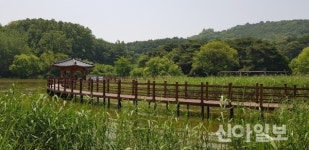 문경, 틀모산 저수지 도시숲 조성사업 준공