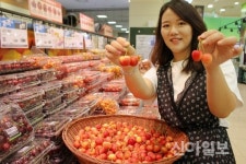 롯데마트 새콤달콤 황금당도 체리 맛보세요