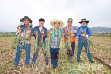 달성, 영농철 맞아 농촌일손돕기 ‘구슬땀’