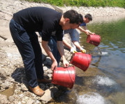 하동지역 저수지 4곳에 어린 쏘가리 방류