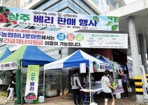 상주시농업기술센터, 상주 베리 본격 출하 판매행사 열어