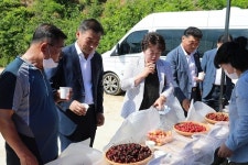 진안체리연구회, 첫 품평회 “체리 맛보러 오세요”