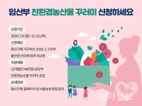 용산, 임산부 432명에게 친환경 농산물 지원