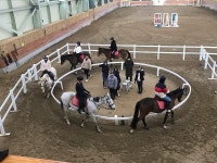 영천시 운주산승마조련센터, 경주퇴역마 관리 프로그램 조련시설 지정