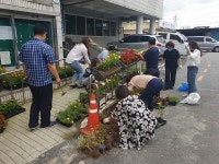 익산 평화동 불법 쓰레기 투기지역 꽃밭으로 변신