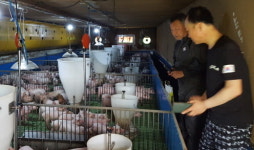 하동군, 대형돈사 가축분뇨 최적관리 컨설팅 실시