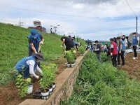 포항제철소, 거리두기 실천하며 재능 봉사 실천