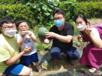 함안(부산)휴게소, 수박 테마파크 호평