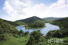 충남도 ‘청정 자연에서 만끽하는 알찬 여름휴가’
