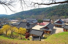 영천시, 은해사 등 9곳 지역 관광명소 선정