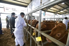 남원, 가축시장 전자경매시스템 ‘개장’