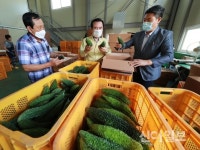 함양 천령식품, 여주가공품 美 LA 수출 선적
