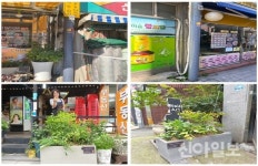 서울 중구, 백학시장 가로등에 불법광고물 부착 안 된다