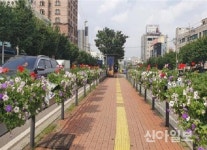 금천구, 시흥대로에 핀 ‘희망의 꽃’…도심거리 ‘활기’