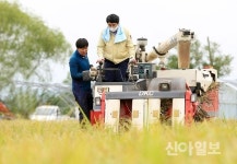 서산시, 올해 삼광·새일미 대상으로 공공비축미곡 6061톤 매입