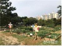 양천구, 신트리 공원 등 4곳 농촌 풍경 조성