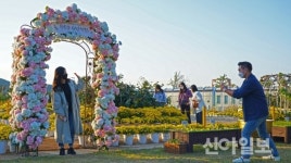 경주시농업기술센터, 경주엑스포에 국화화분 3천여개와 작물 제공