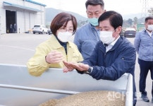 김보라 안성시장, 추곡 수매 현장 방문해 농업인 격려