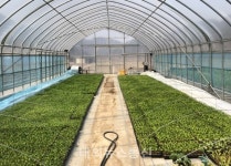 단양 공동육묘장 준공…육묘여건 대폭 개선 기대