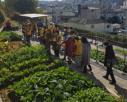 진주시 여성자원봉사대, 진주옥봉새뜰마을 걷기 행사 개최