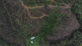 부여국유림관리소, 불법벌채·산지전용 상습범 형사 입건