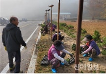 합천, 율곡 항곡1구 마을만들기사업 마무리