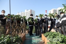 강북구, 도시농업 활성화 도시텃밭 사업 호응