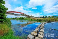 오산시, 수달 서식 도심 생태하천 ‘오산천’