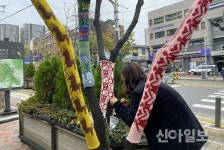서대문구청 광장 나무들, 손뜨개 겨울옷 입었다