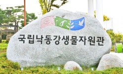 국립낙동강생물자원관, 축산동물 장내 유해 세균 제어하는 유산균 발굴