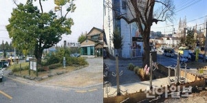 용인 기흥구 보라동, 느티나무 보호수에 주민 쉼터 조성