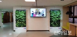 송파구, 실내정화 ‘친환경 수직정원’ 15개 설치