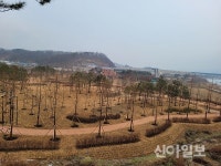 용인, 경안천 도시숲 2만2206㎥ 1단계 조성 완료